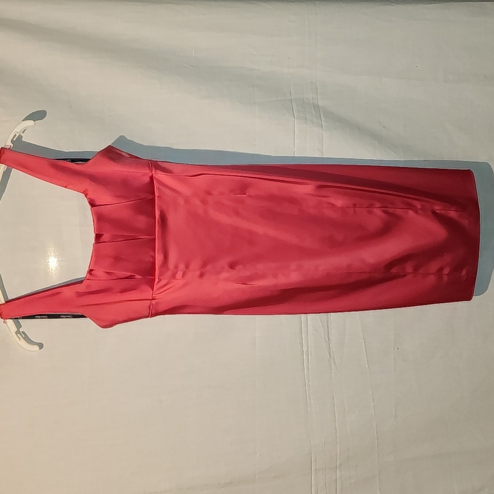 Calvin Klein Pink Redish Satin Dress Size 2P
